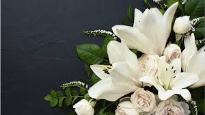 Ethan Mcmullen Rosemount, Minnesota Death Cherished Resident Has Sadly Died